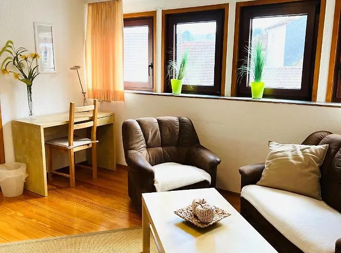 Maximo Am Koenigsberg 酒店 *